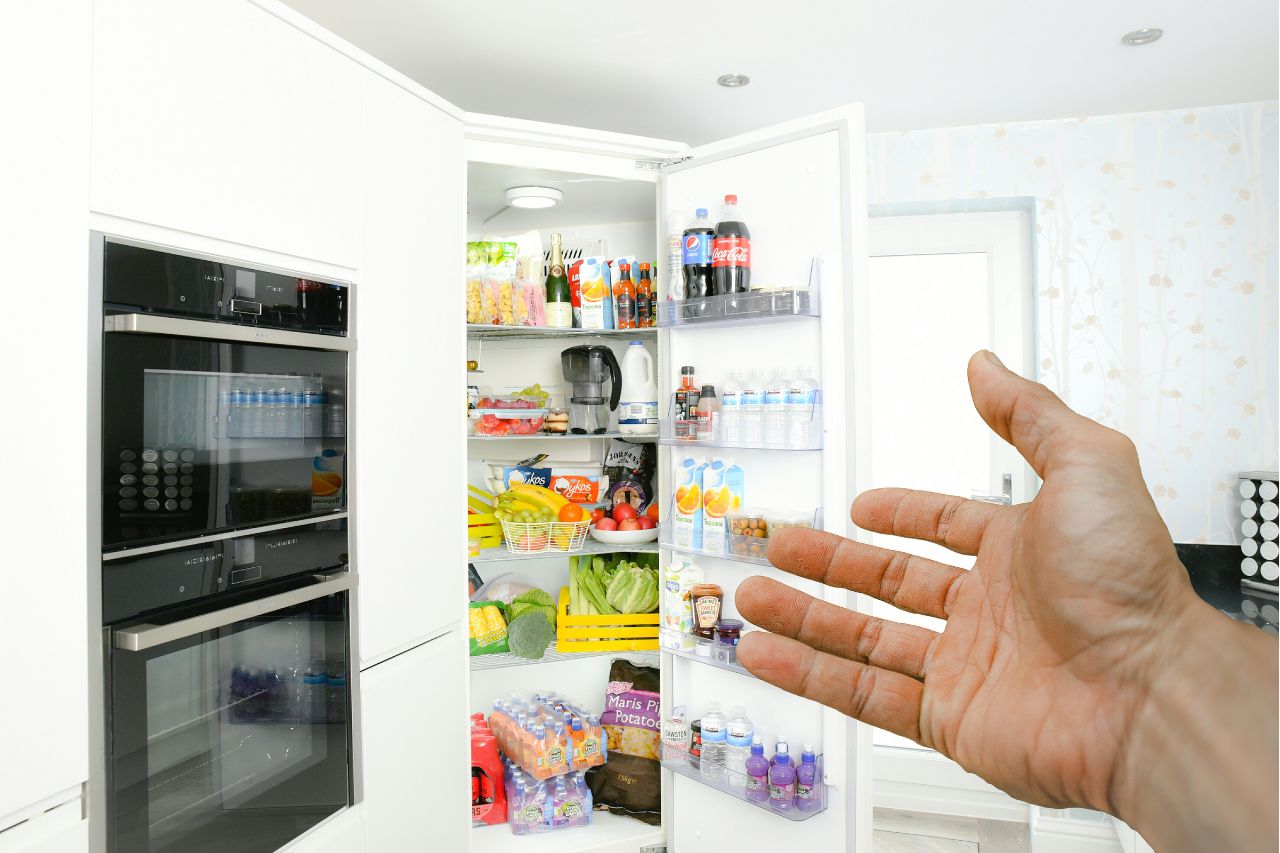 Samsung Double Door Refrigerators: Reviews and Buying Guide